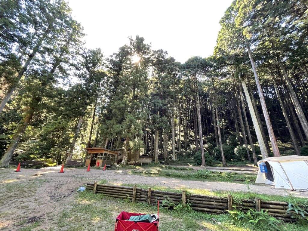 かぶとの森テラスキャンプ場　サイト