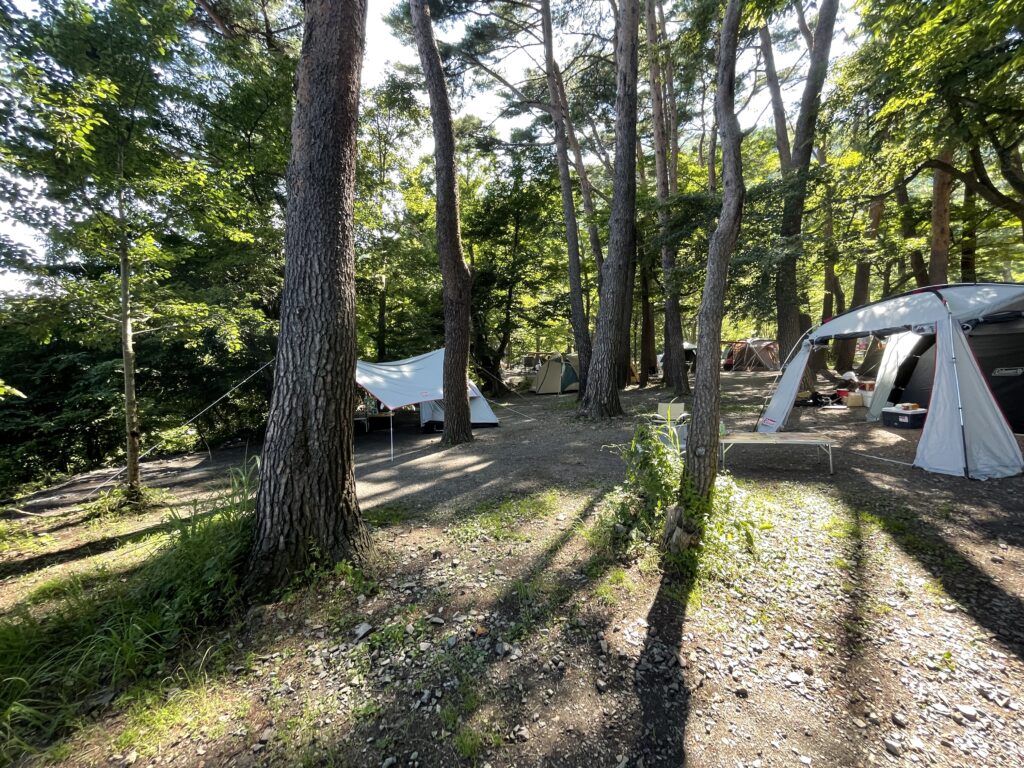 浩庵キャンプ場　富士山（本栖湖）
林間サイト